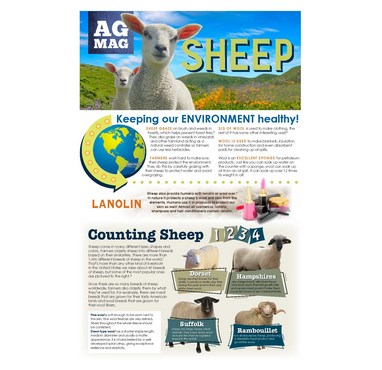 Sheep Ag Mag 